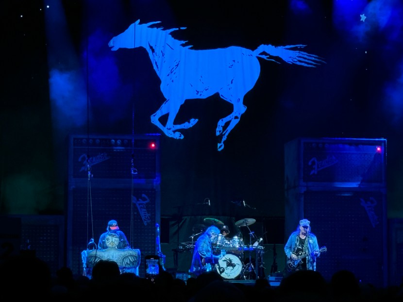 Neil Young Crazy Horse Forest Hill's Tennis Stadium. Photo: James Prochnik